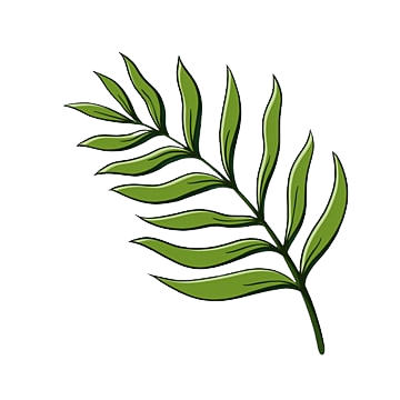 pngtree-palm-leaf-clipart-leaf-cartoon-style-png-image_3077099-removebg-preview